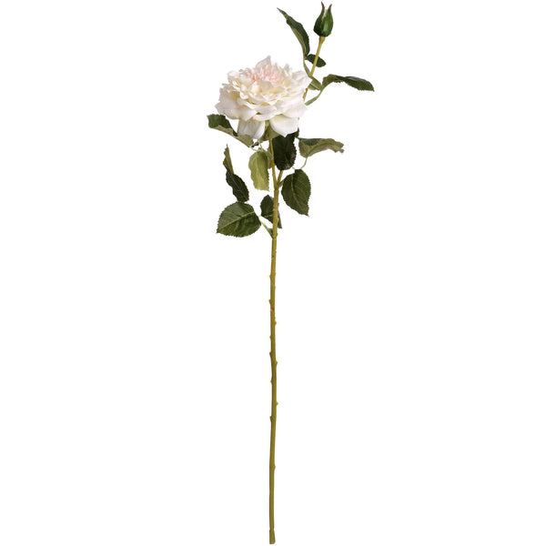 White Garden Rose Single Stem Spray