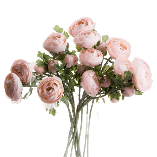 Whispering Petals Pastel Pink Ranunculus