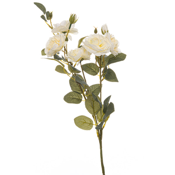 Whispering Ivory Cottage Rose Stem